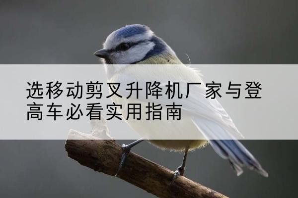岫岩电动升降机厂家-选移动剪叉升降机厂家与登高车必看实用指南