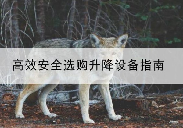 岫岩升降货梯厂家推荐-*安全选购升降设备指南