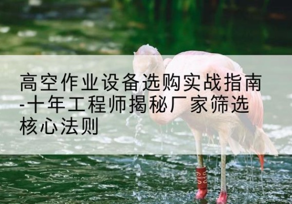 岫岩剪叉式升降机厂家-高空作业设备选购实战指南-十年工程师揭秘厂家筛选核心法则